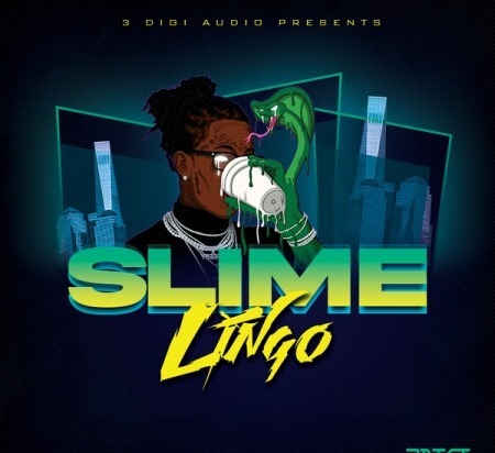 3Digi Audio Slime Lingo WAV